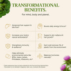 Modern Antidote liver cleanse drink mix supplement facts with NAC
