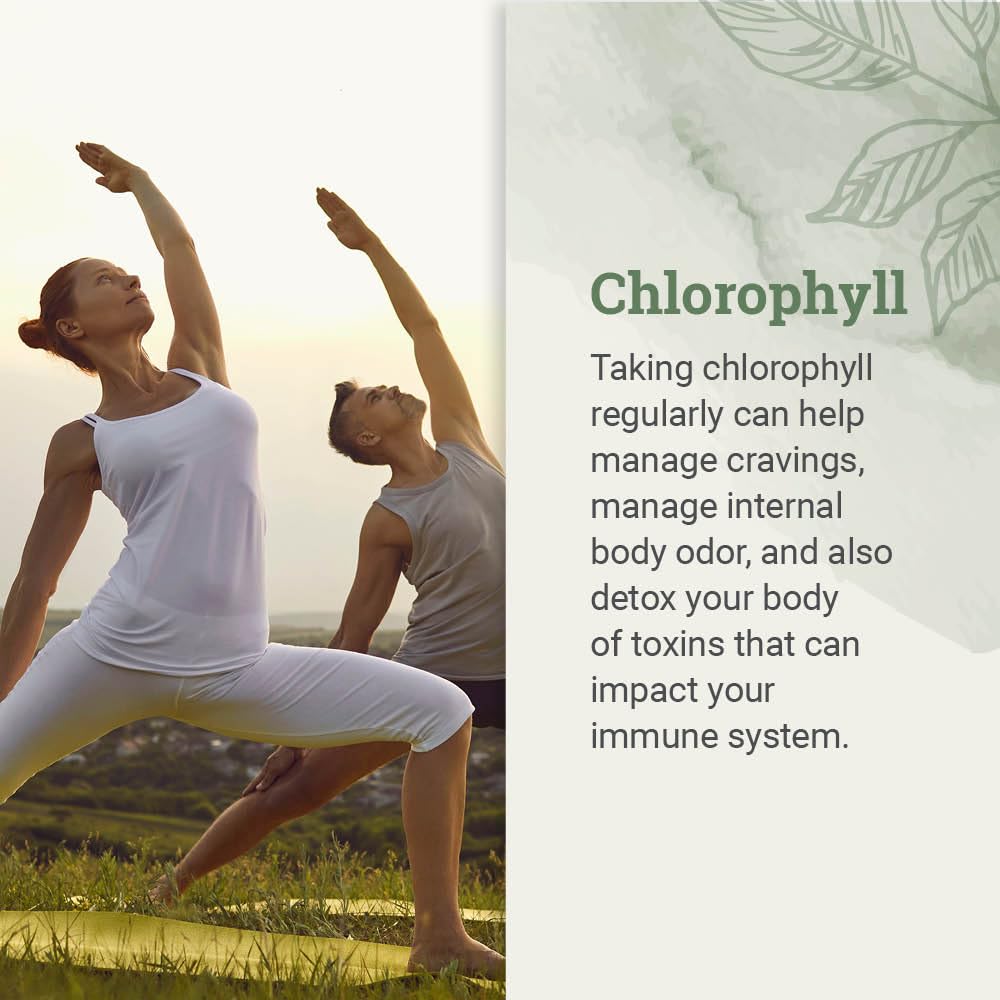 Vegan chlorophyll supplement dropper showing liquid consistency and organic ingredients.