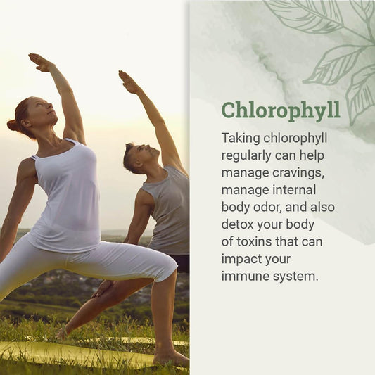 Vegan chlorophyll supplement dropper showing liquid consistency and organic ingredients.