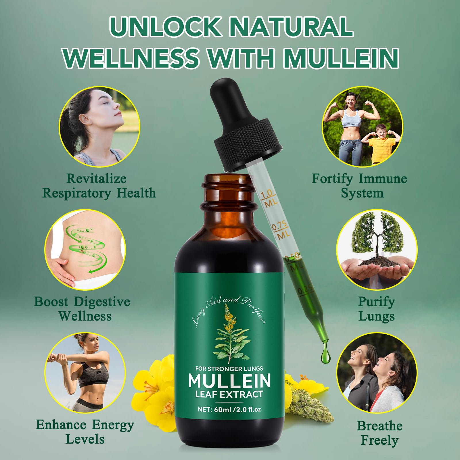 BOIUOITI Mullein Leaf Drops 60 Milliliters supplement facts label details