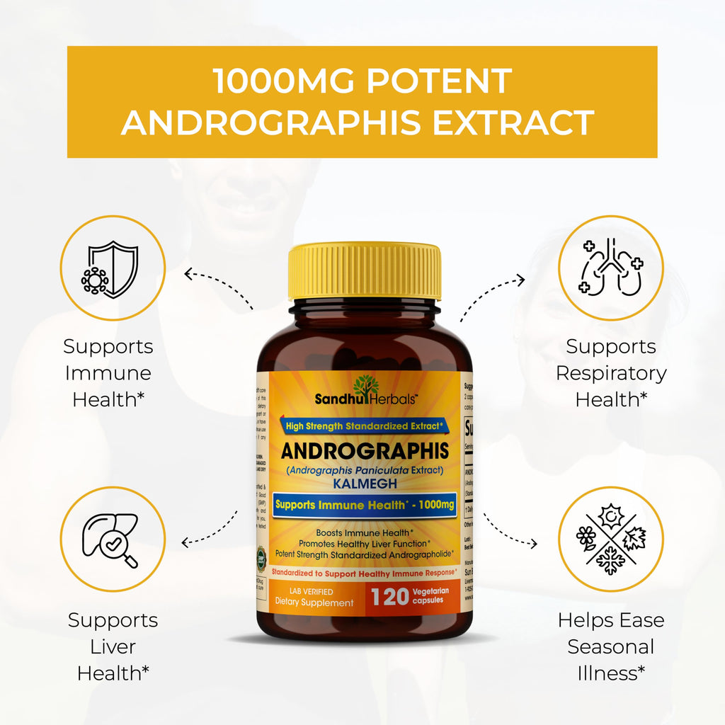 Authentic Sandhu Herbals Andrographis Paniculata dietary supplement for adult seasonal wellness