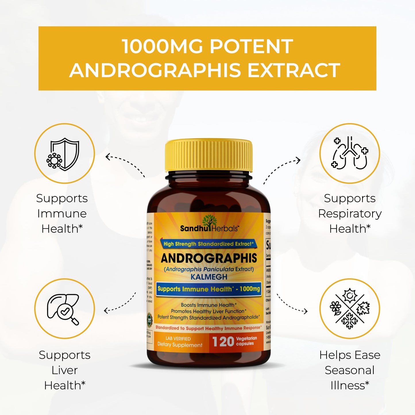 Authentic Sandhu Herbals Andrographis Paniculata dietary supplement for adult seasonal wellness