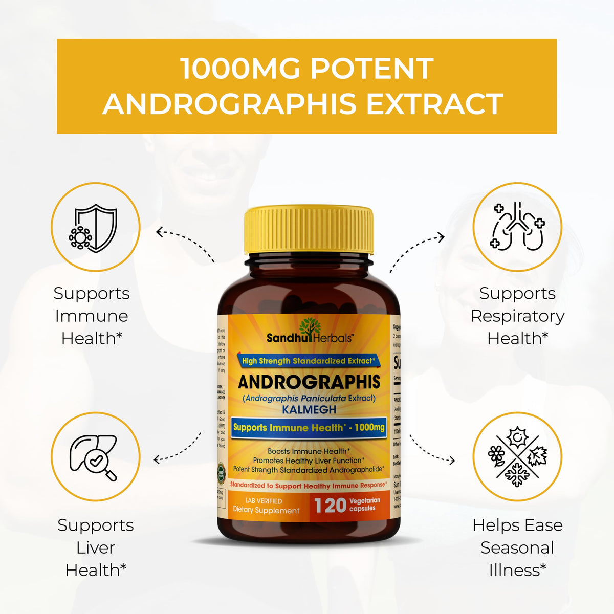 Authentic Sandhu Herbals Andrographis Paniculata dietary supplement for adult seasonal wellness