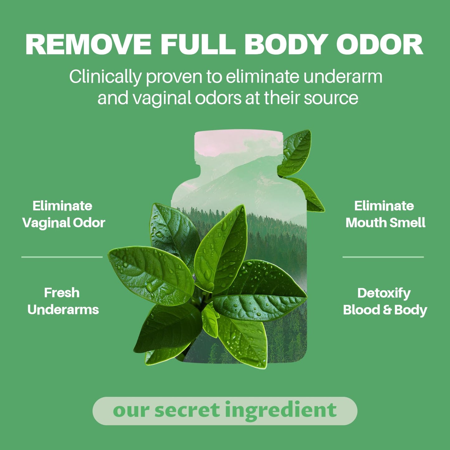MEGNETA internal odor control chlorophyll capsules label showing ingredient panel