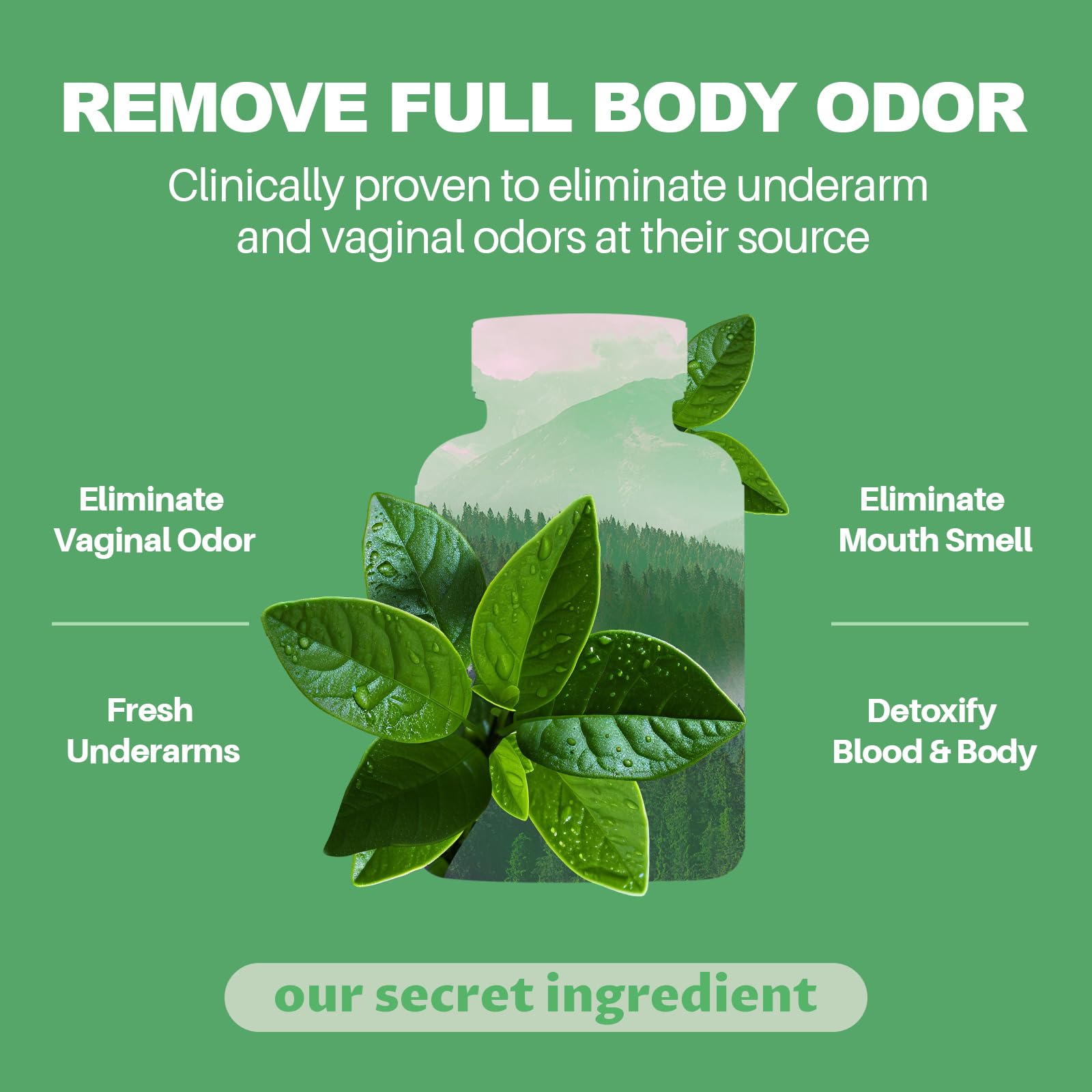 MEGNETA internal odor control chlorophyll capsules label showing ingredient panel