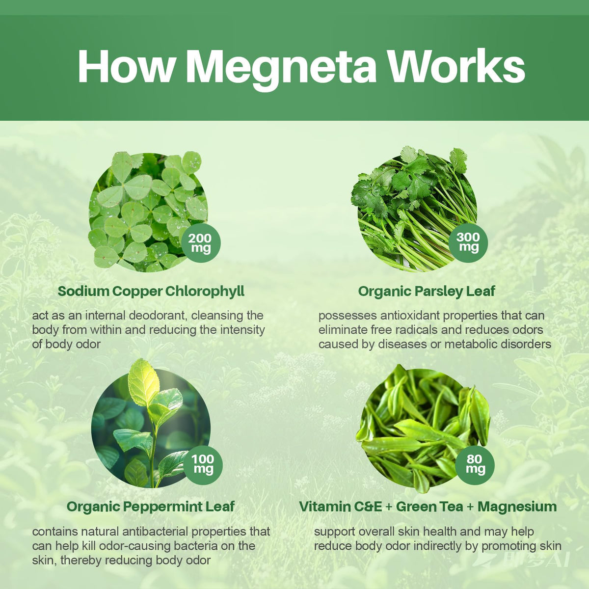 MEGNETA natural internal deodorant capsules bottle with plant based graphics