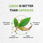 Alcohol-free Andrographis paniculata liquid herbal supplement side label facts.