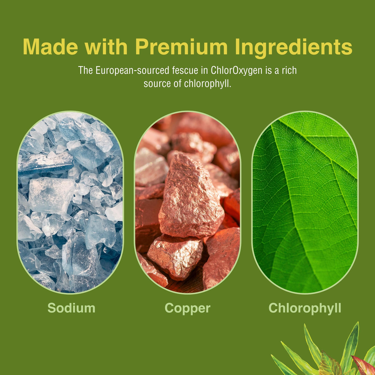 Herbs Etc ChlorOxygen 59 mL bottle next to a glass of water for usage illustration