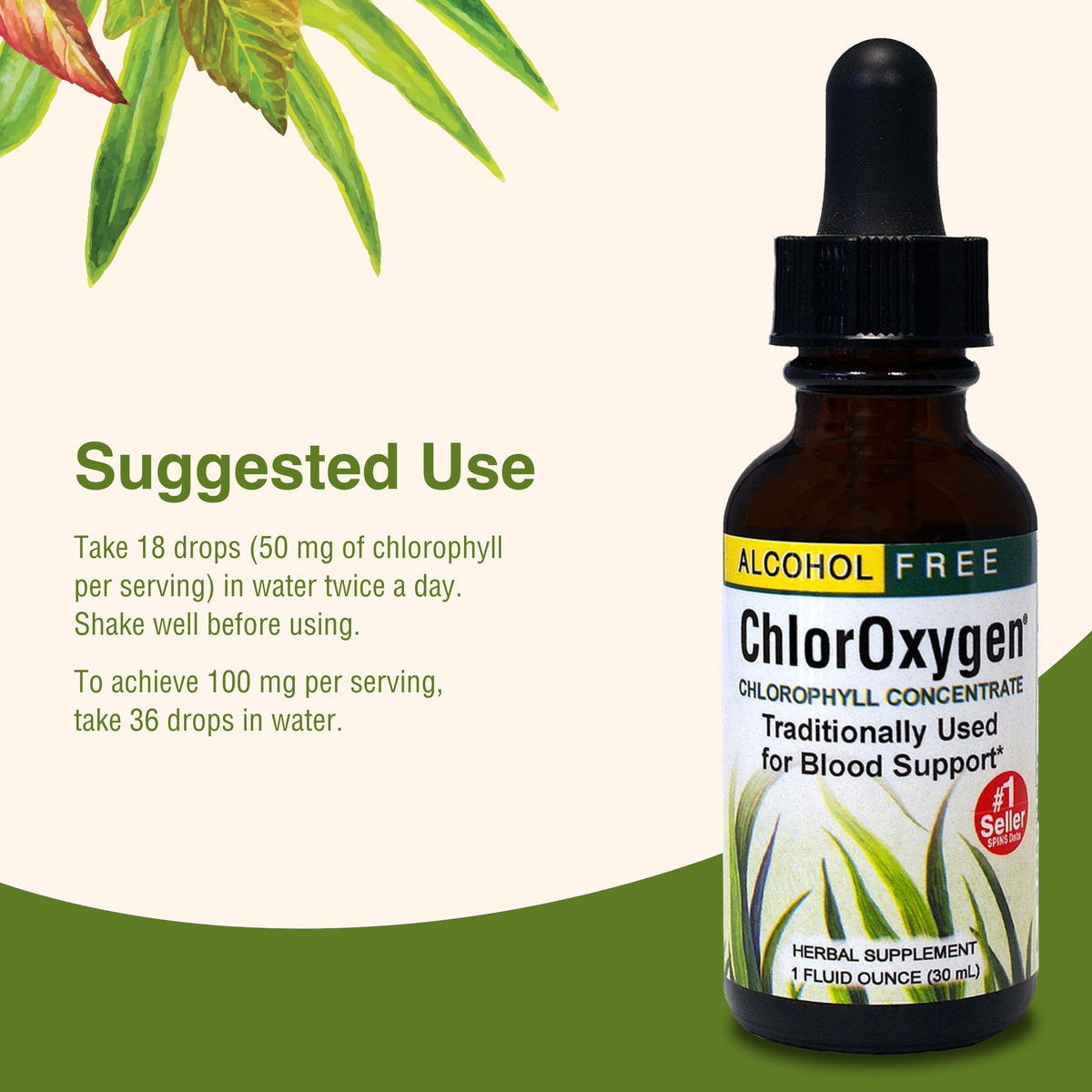 Herbs Etc ChlorOxygen natural energy booster supplement box packaging view