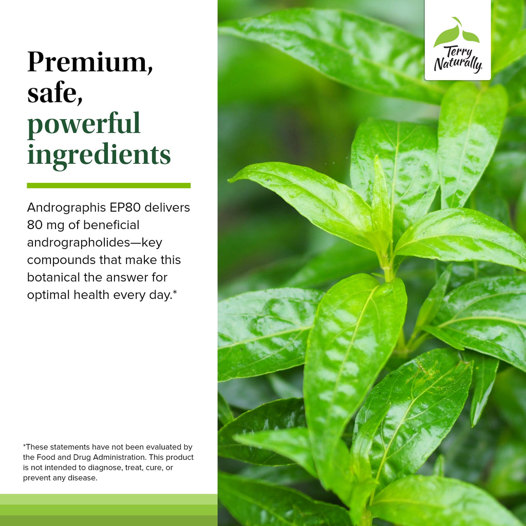 Premium clean ingredient list on the back of the adaptogen supplement bottle
