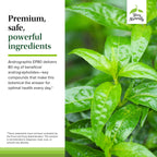 Premium clean ingredient list on the back of the adaptogen supplement bottle