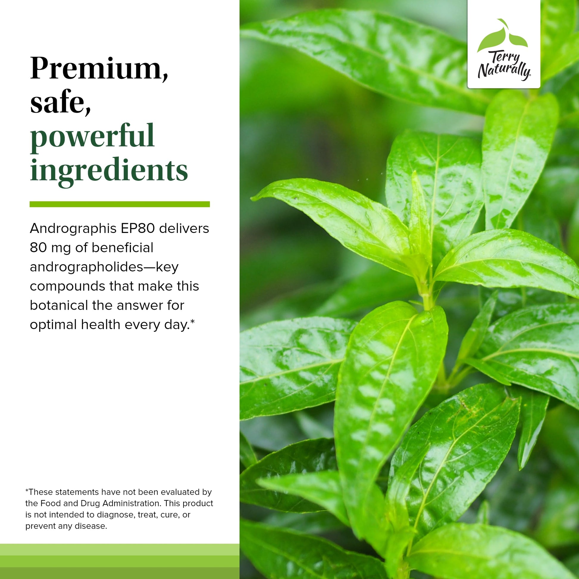 Premium clean ingredient list on the back of the adaptogen supplement bottle