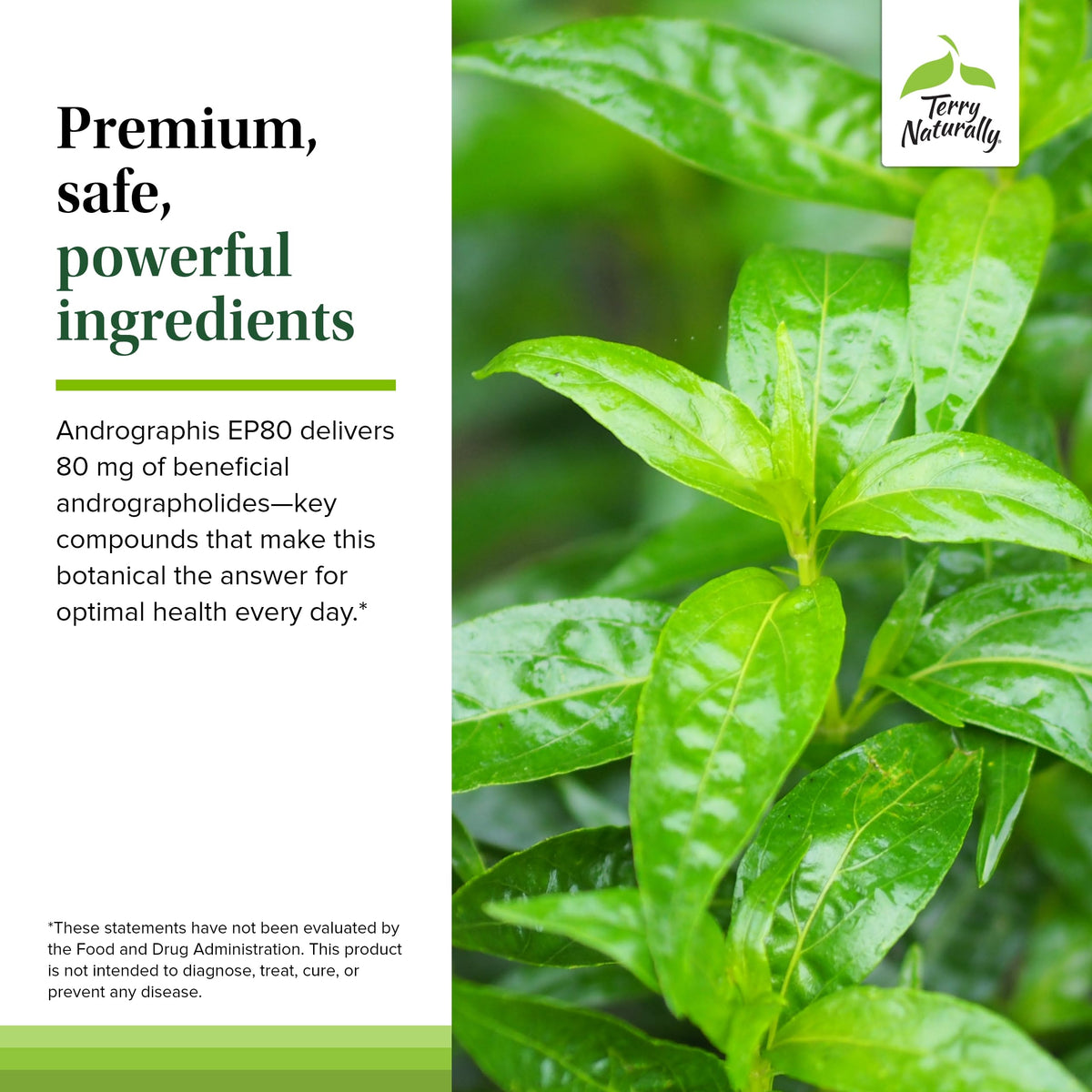 Premium clean ingredient list on the back of the adaptogen supplement bottle
