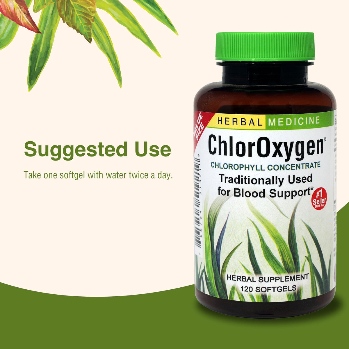 Herbs Etc plant based chlorophyll concentrate softgels for high altitude environmental support