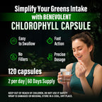 Benevolent Supplements high potency supergreen chlorophyll capsules showing clean non GMO ingredients