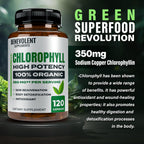 Benevolent Nourishment organic chlorophyll 350mg dietary supplement bottle for daily immune defense