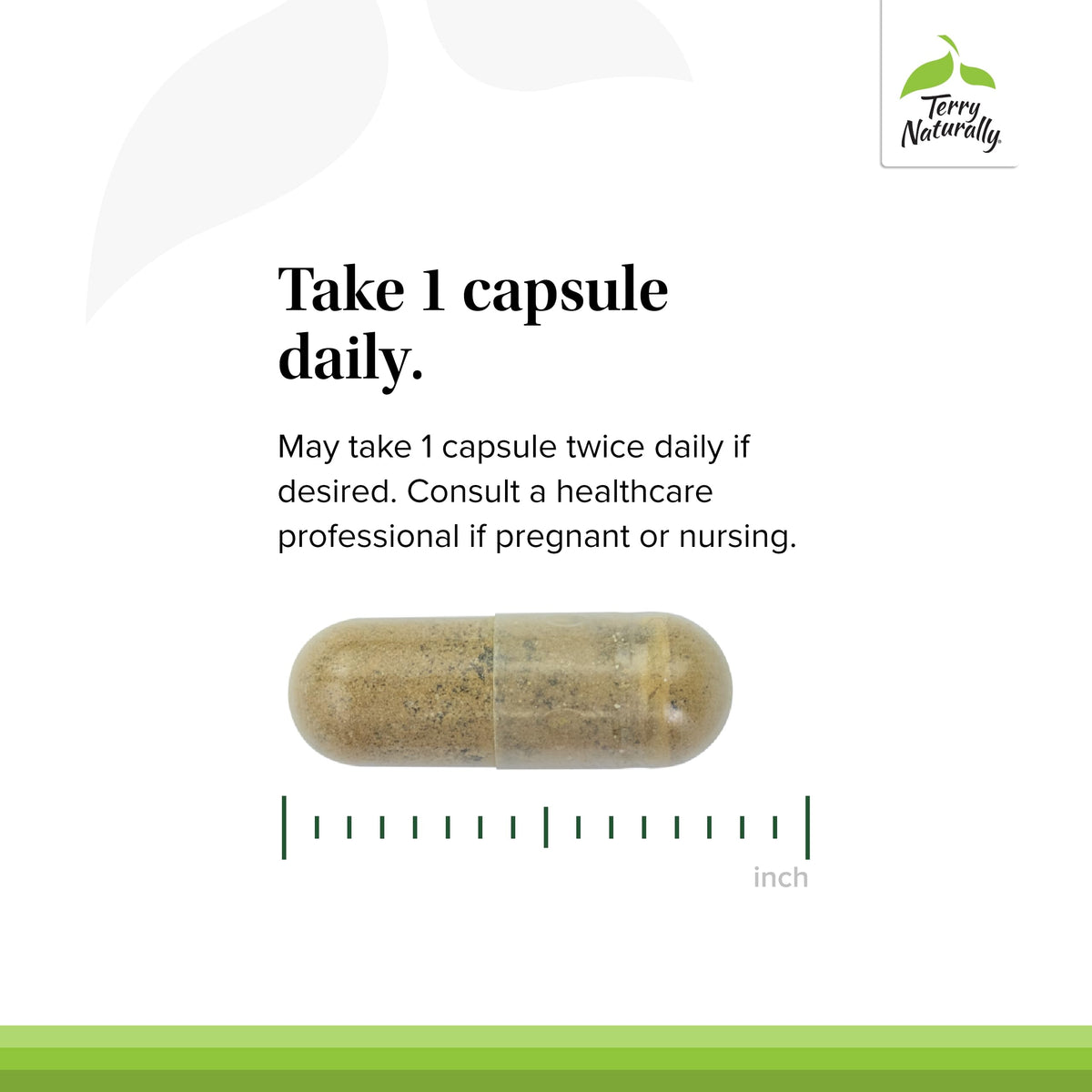 Authentic Terry Naturally ashwagandha and andrographis capsules showing standardization percentages.