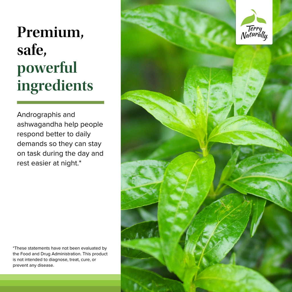 Close up of the supplement facts panel on Terry Naturally immune defense capsule bottle.