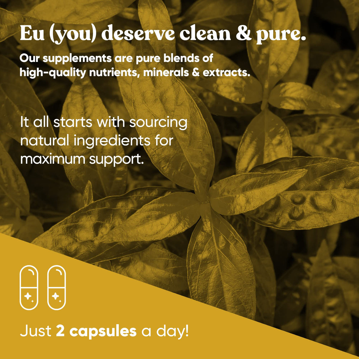 Eu Natural immune support vegetarian capsules for respiratory tract wellness