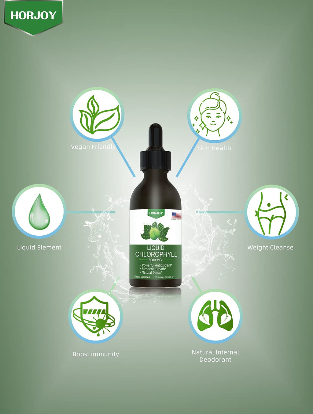 Premium green plant pigment chlorophyll drops showing natural mint flavor description
