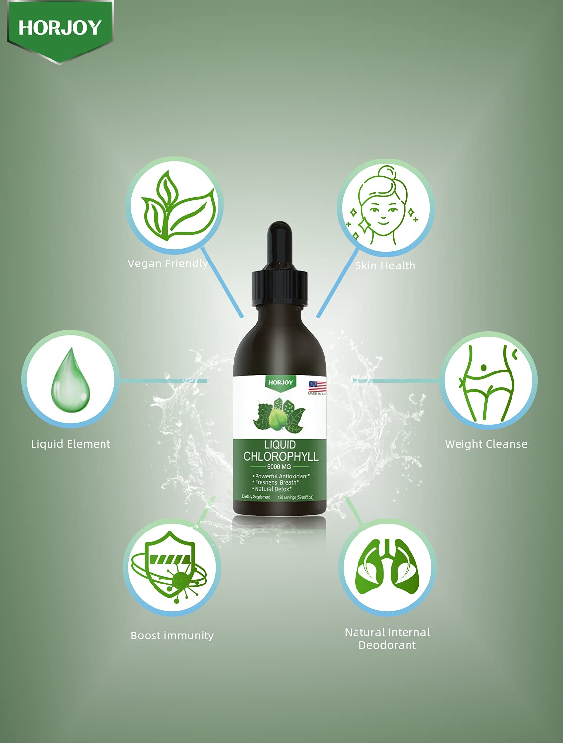 Premium green plant pigment chlorophyll drops showing natural mint flavor description