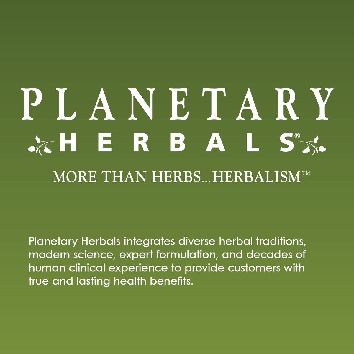 Planetary Herbals Andrographis imported seasonal wellness tablets with authentic seal