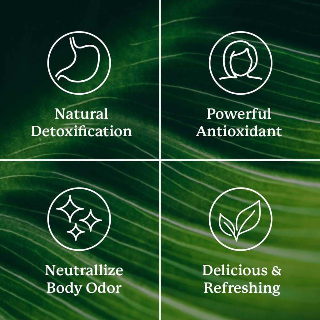 Sugar free crisp apple flavored chlorophyll wellness supplement nutrition label