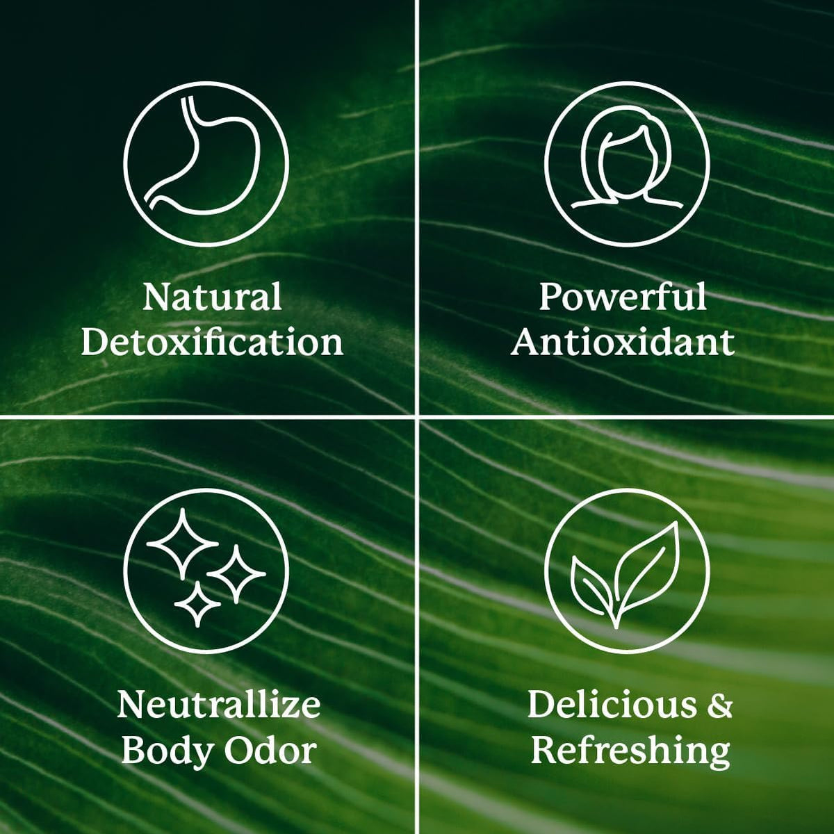 Sugar free crisp apple flavored chlorophyll wellness supplement nutrition label