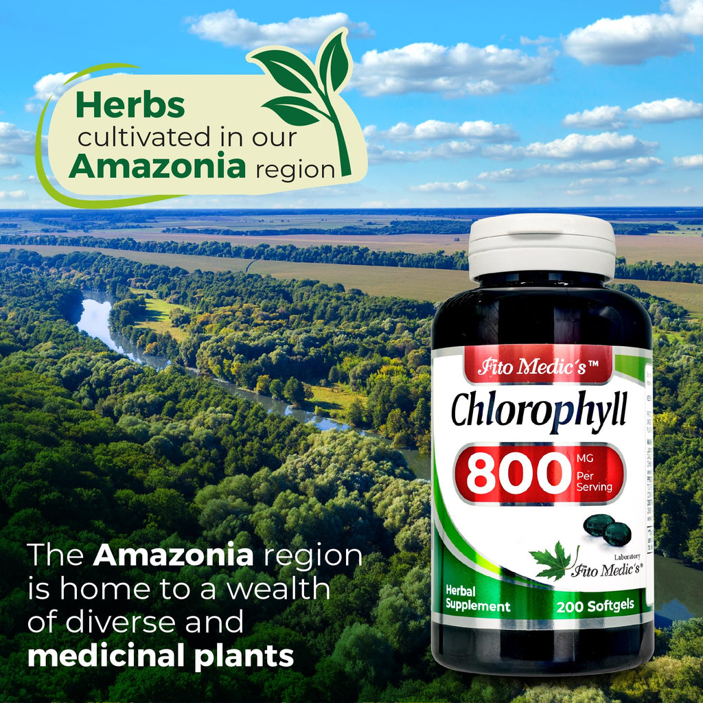 Fito Medic's Lab Chlorophyll 200 Count bottle demonstrating the direct USA imported packaging for Indian health enthusiasts.