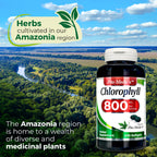 Fito Medic's Lab Chlorophyll 200 Count bottle demonstrating the direct USA imported packaging for Indian health enthusiasts.