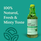 Premium imported liquid chlorophyll bottle by Nature's Sunshine depicting the paraben free seal