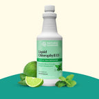 Nature's Sunshine green superfood tonic bottle for daily gut purification and immune support