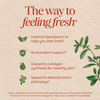 Nature's Way Chlorofresh 100 mg chlorophyllin capsules bottle side view