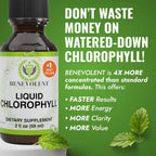 Benevolent Nourishment natural mint flavor chlorophyll liquid packaging showing supplement facts
