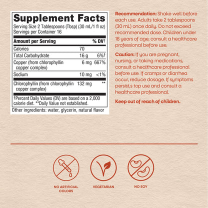 Natural mint flavored green liquid antioxidant wellness supplement for skin health