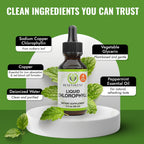Benevolent Nourishment alcohol free green drink drops for liver cleansing