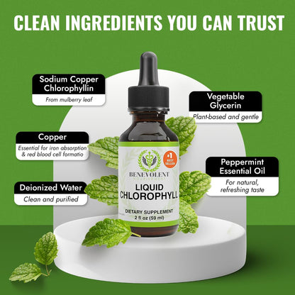 Benevolent Nourishment alcohol free green drink drops for liver cleansing