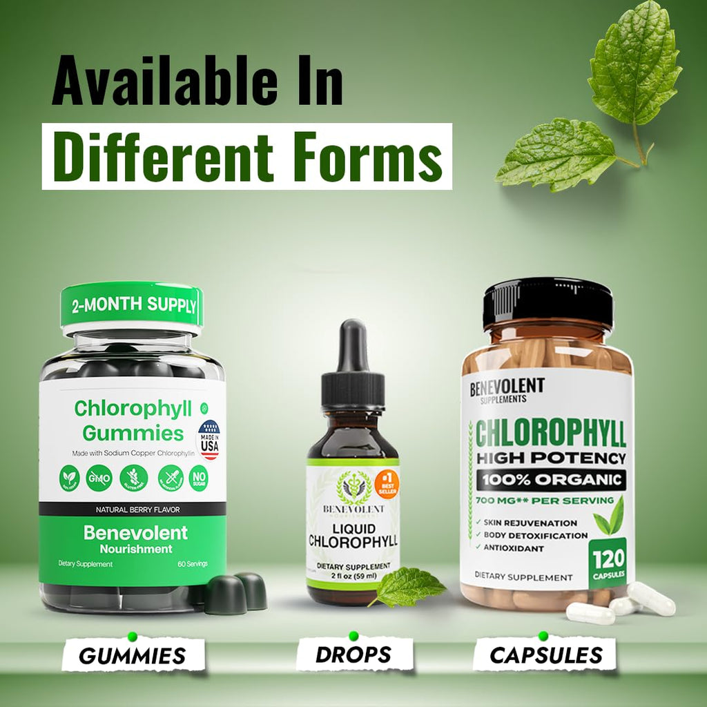 Authentic imported natural mint flavored green chlorophyll drops for daily energy
