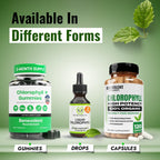 Authentic imported natural mint flavored green chlorophyll drops for daily energy
