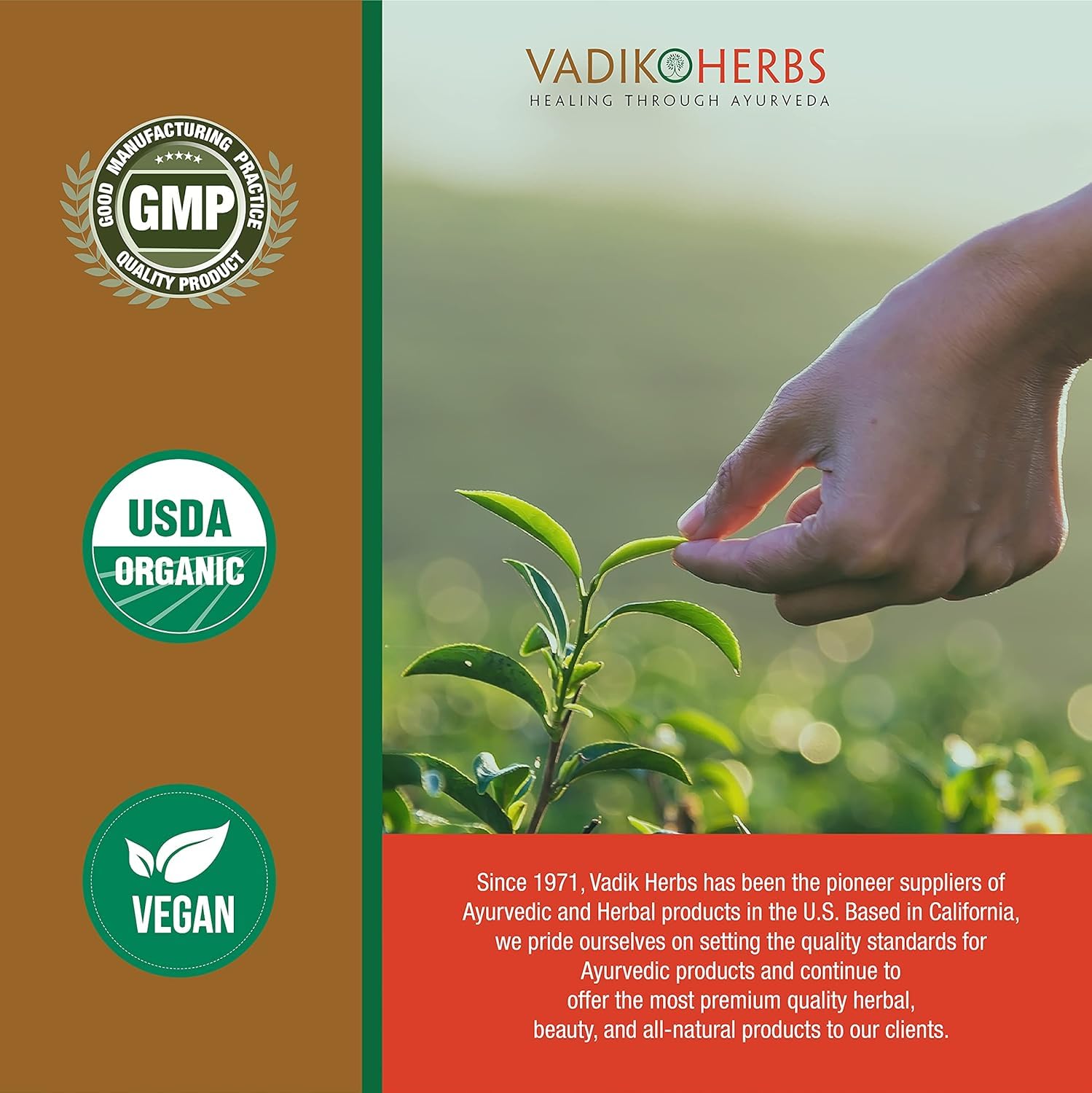 Premium vegetarian capsules of Vadik Herbs organic Arjuna bark for natural wellness