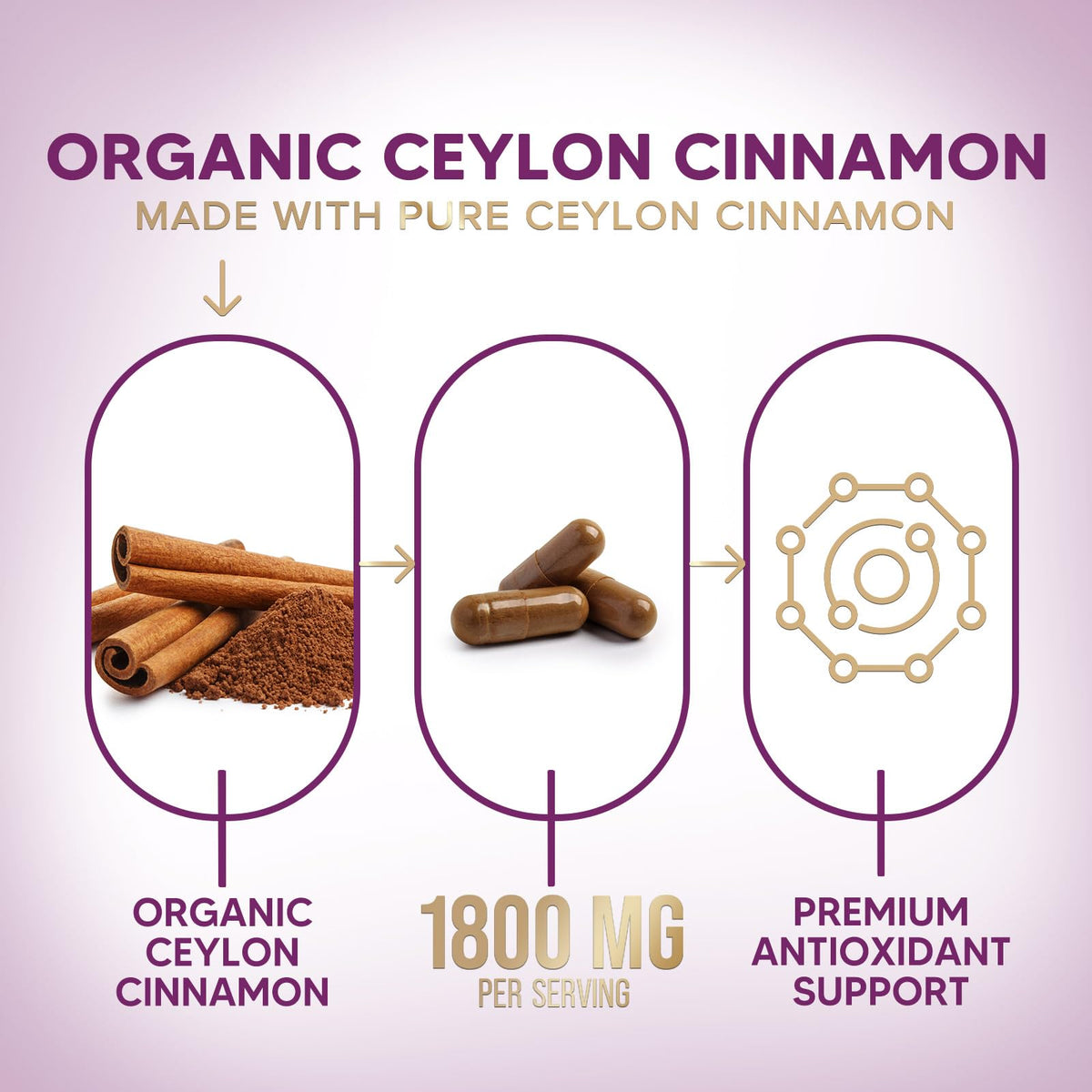 Side view of Nature's Choice true cinnamon supplement bottle