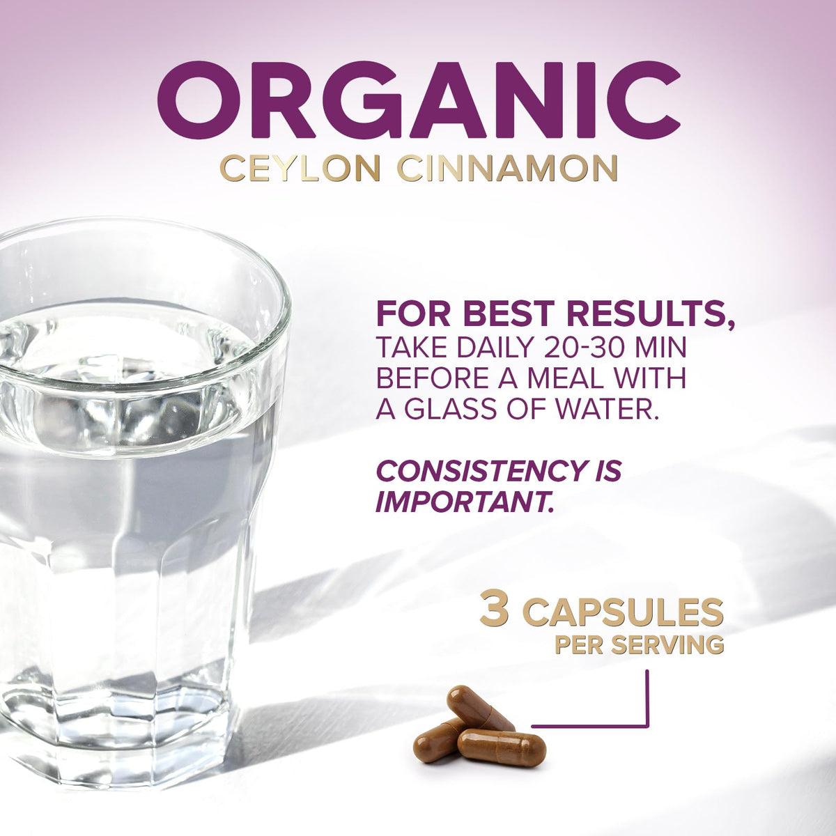 Close up of organic true cinnamon capsules bottle texture