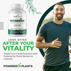 Powered X Plants Berberine supplement label details showing 1300mg dosage
