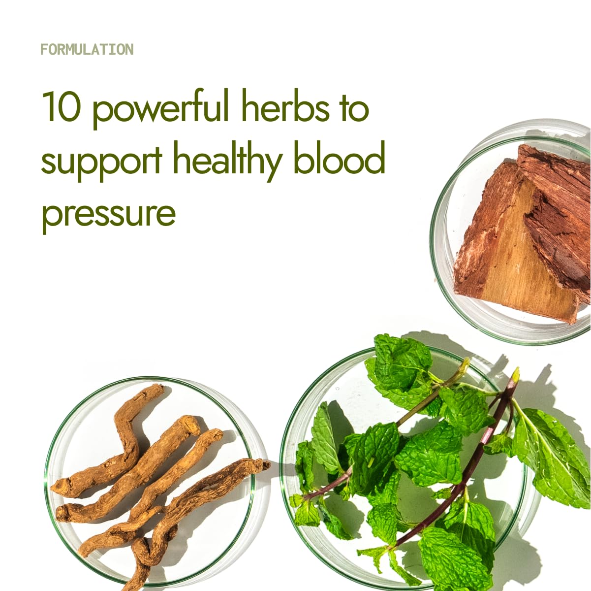 Kapiva herbal cholesterol support formula container showcasing the back label with ingredient facts