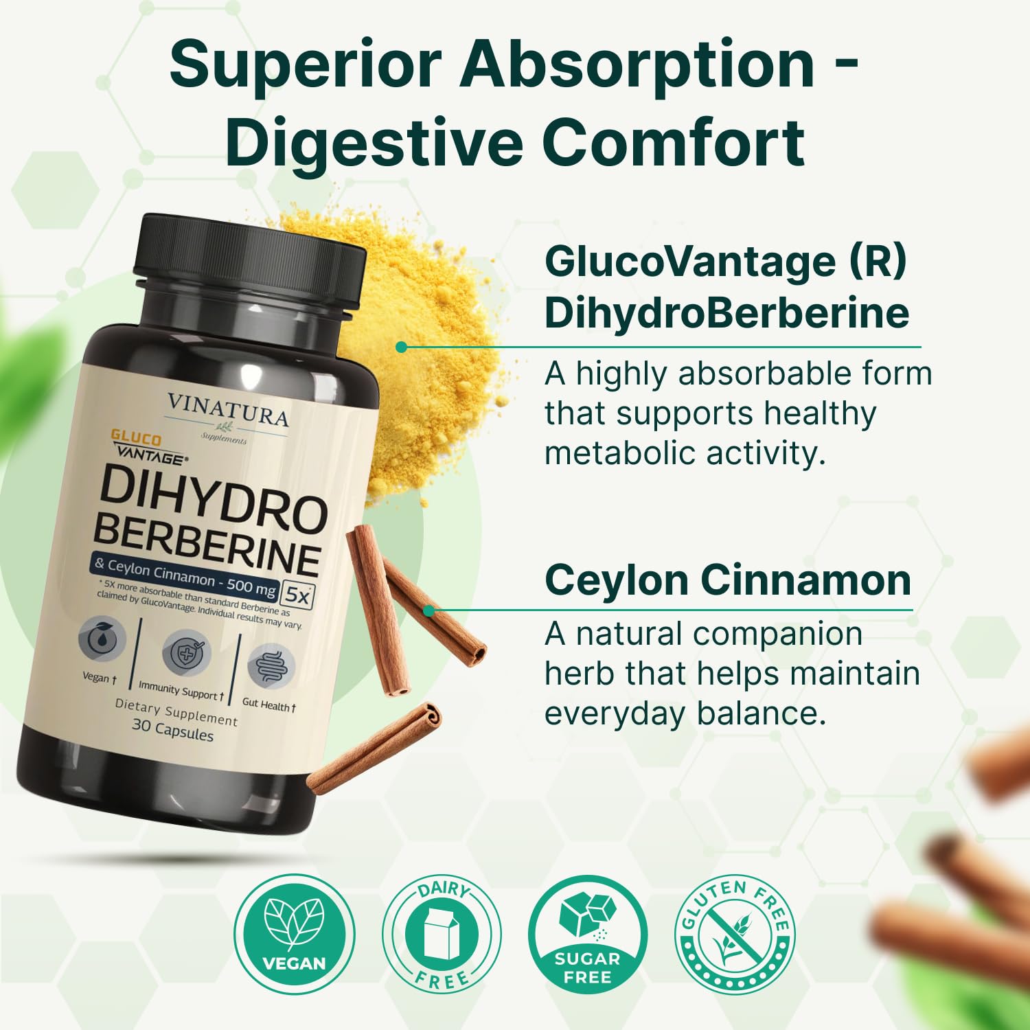 Vinatura Dihydroberberine with Ceylon Cinnamon ingredients panel