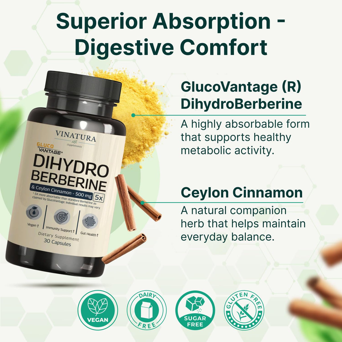 Vinatura Dihydroberberine with Ceylon Cinnamon ingredients panel