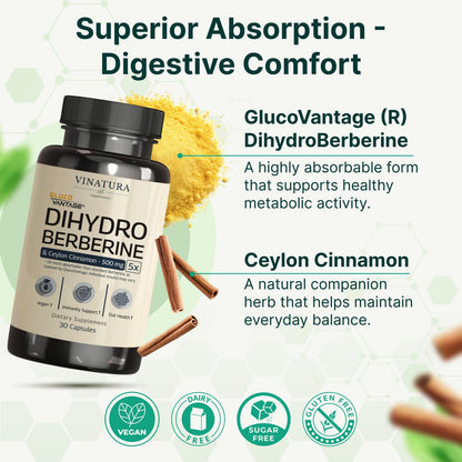 Vinatura Dihydroberberine with Ceylon Cinnamon ingredients panel