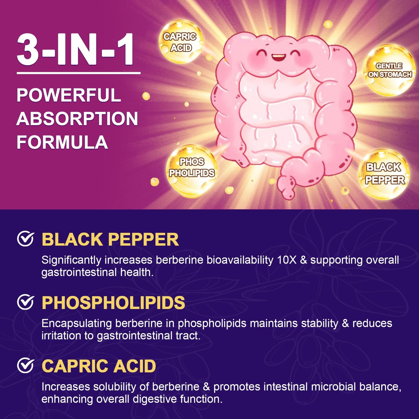 Zebora Berberine HCL with Ceylon Cinnamon packaging