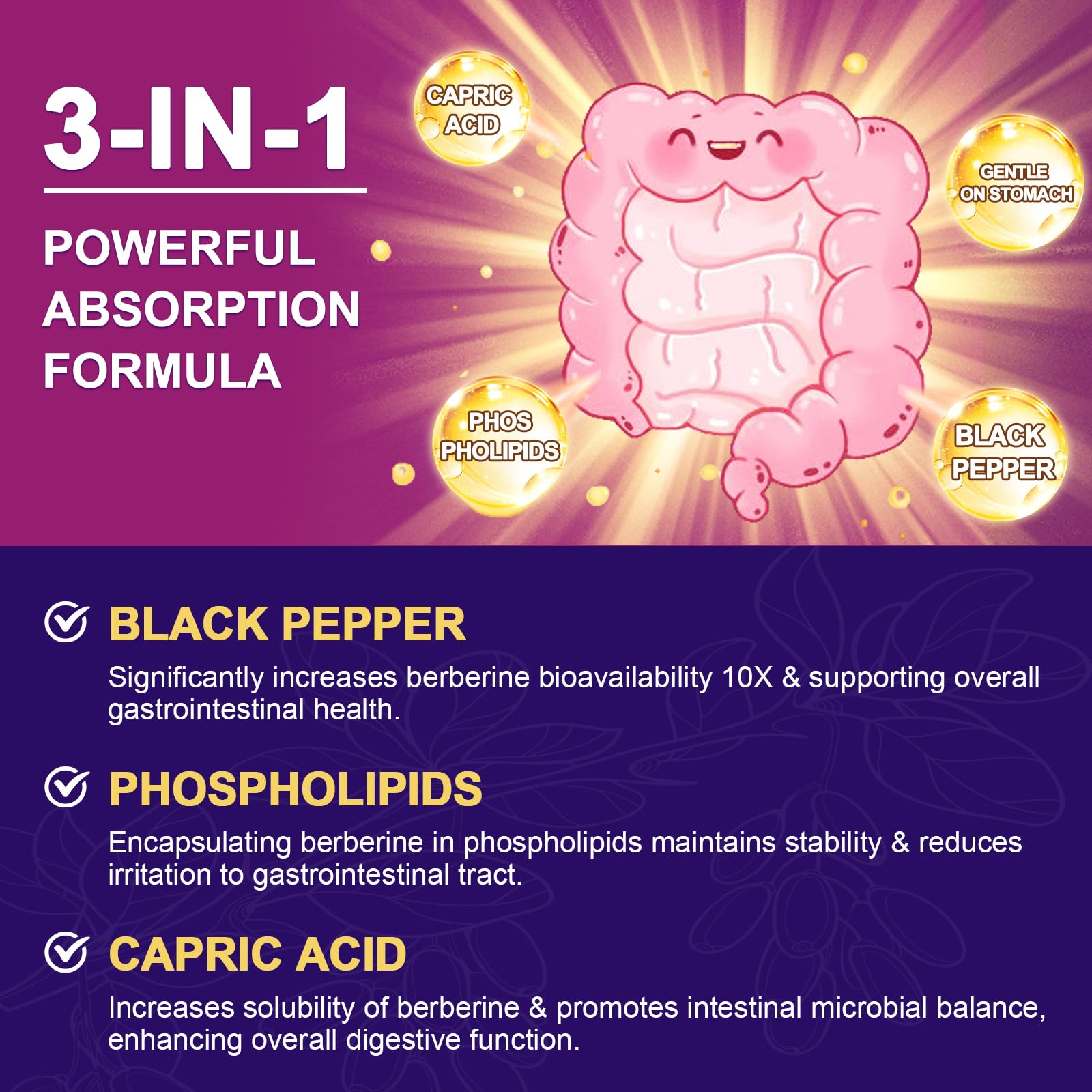 Zebora Berberine HCL with Ceylon Cinnamon packaging