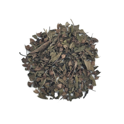 Side view of Pride Of India non GMO gluten free Arjuna bark standup pouch.